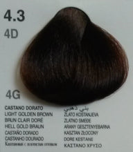 Dikson Color Extra Premium Gold Series