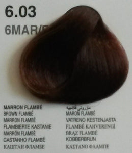 Dikson Color Extra Premium Chocolate Brown Series